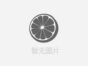 【人人講安全，個(gè)個(gè)會(huì)應(yīng)急——暢通生命通道 】河南鴻宸積極參加安陽(yáng)市2024年“安全宣傳咨詢?nèi)铡被顒?dòng)